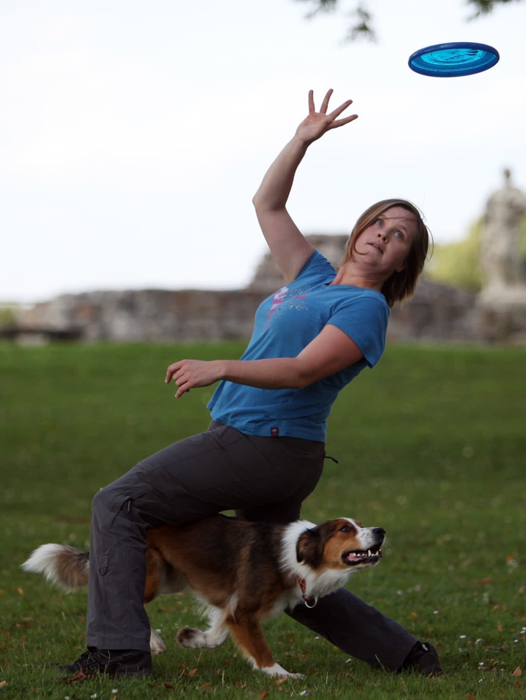 Eine Hundetrainerin greift im Sprung nach einer blauen Frisbeescheibe, ihr Hütehund läuft dicht neben ihr über die Wiese.