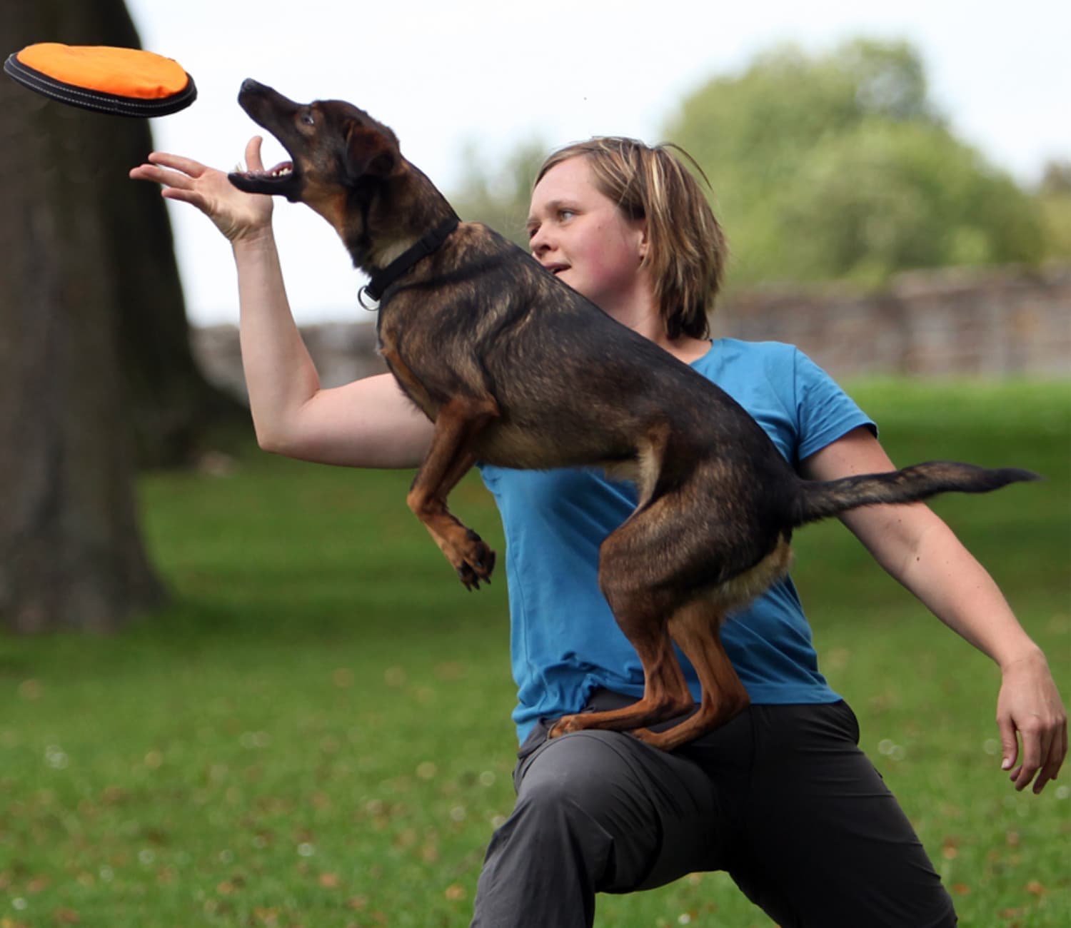 Ein Hund springt auf einer Wiese hoch und fängt eine orangefarbene Frisbeescheibe, seine Halterin geht in die Knie und begleitet den Sprung.